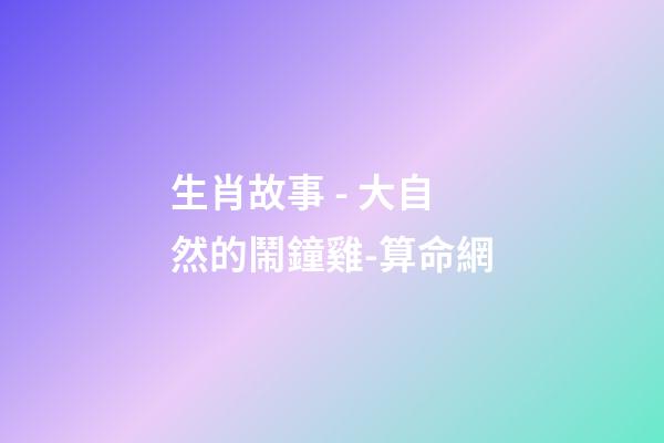 生肖故事 - 大自然的鬧鐘雞-算命網